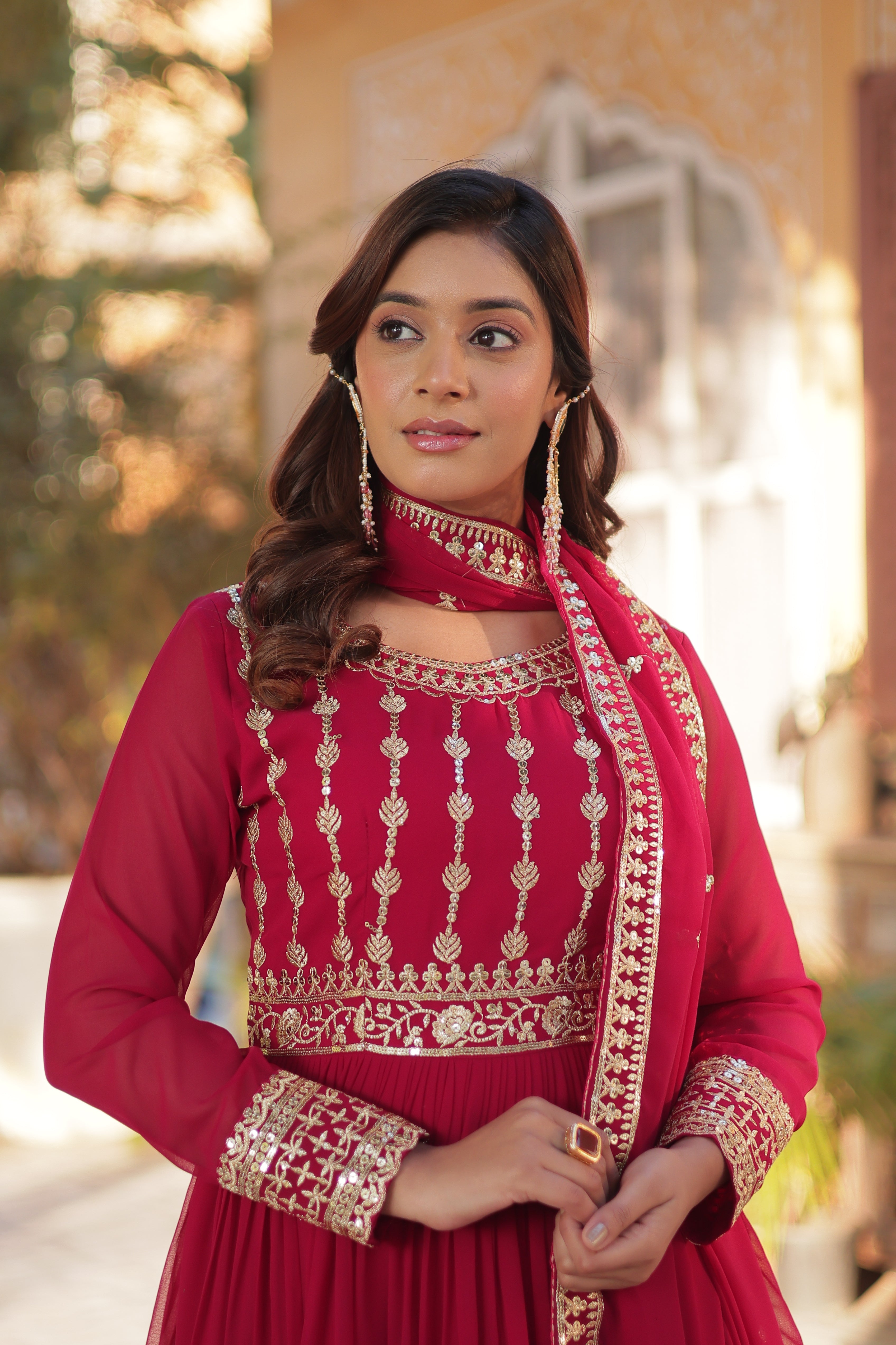 Celestial  Embroidered Gown